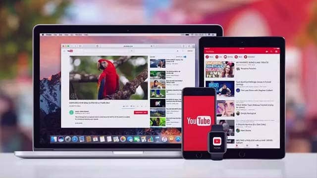 ما هي فوائد الاشتراك في خدمة يوتيوب بريميوم YouTube Premium ؟ 1 1